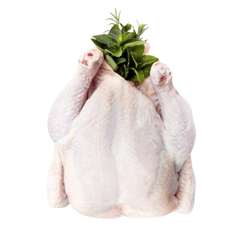 BODY MEAT